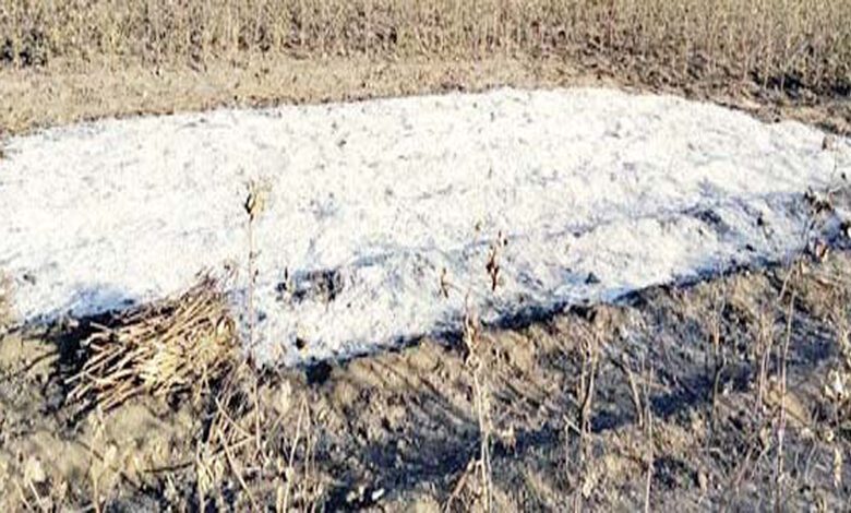Tuar-Jalkar-Khak-amravati-mandal