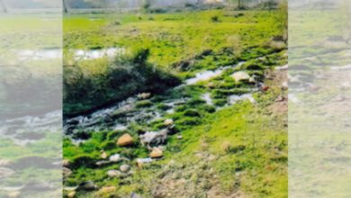 Dirt-Kingdom-on-the-Field-amravati-mandal