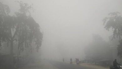 Thick-Fog-amravati-mandal
