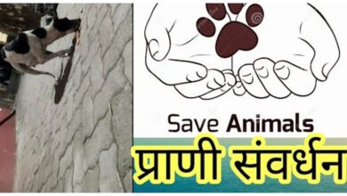Animal-Culture-amravati-mandal