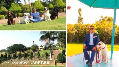 Dog-Training-Center-amravati-mandal