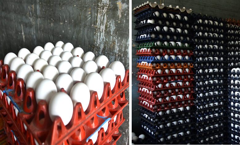 eggs-amravati-mandal