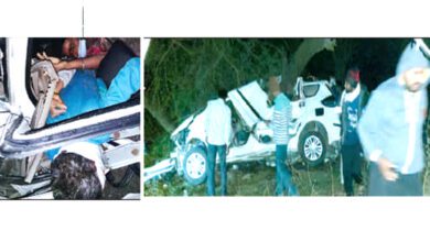 Car-Hit-Tree-amravati-mandal