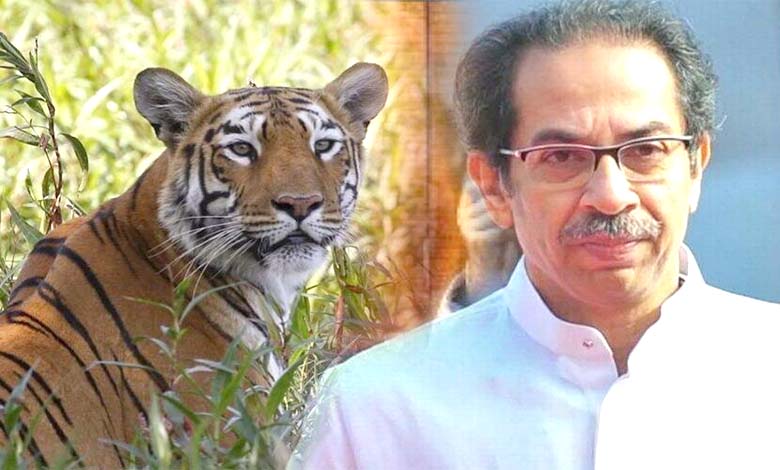 Uddhav-Thackeray-amravati-mandal