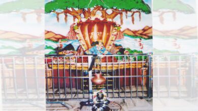 Atirudra-Abhishek-amravati-mandal