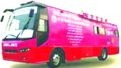 Pragati-Rajasthani-Mahila-Mandal-amravati-mandal