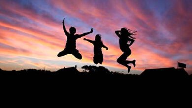 can-touch-the-sky-amravati-mandal
