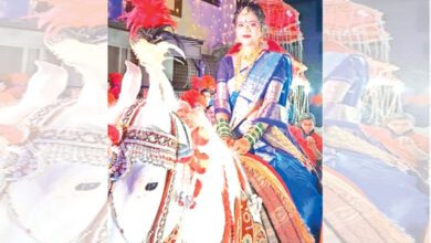 Horses-amravati-mandal