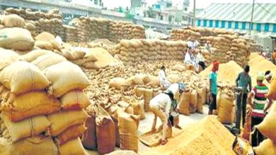Purchase-Sale-Co-operative-Union-amravati-mandal