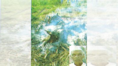 Suicide-amravati-mandal