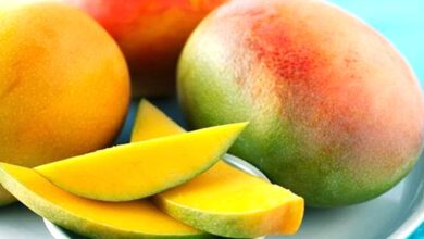Mango-Amravati-Mandal
