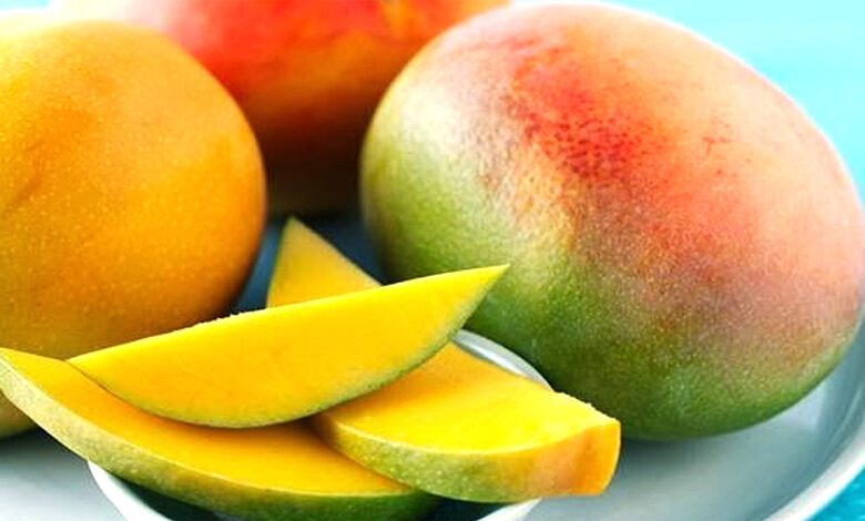 Mango-Amravati-Mandal