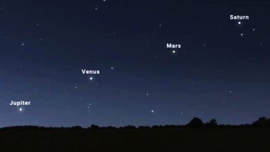 Saturn-Mars-Venus-Jupiter-amravati-mandal