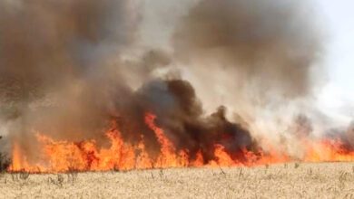 Fire-in-Wheat-Barn-amravati-mandal
