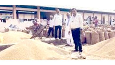 Soybean-amravati-mandal