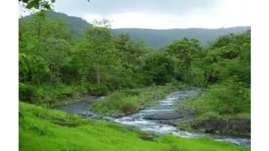Melghat Tiger Project