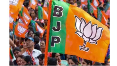 Elections Candidate